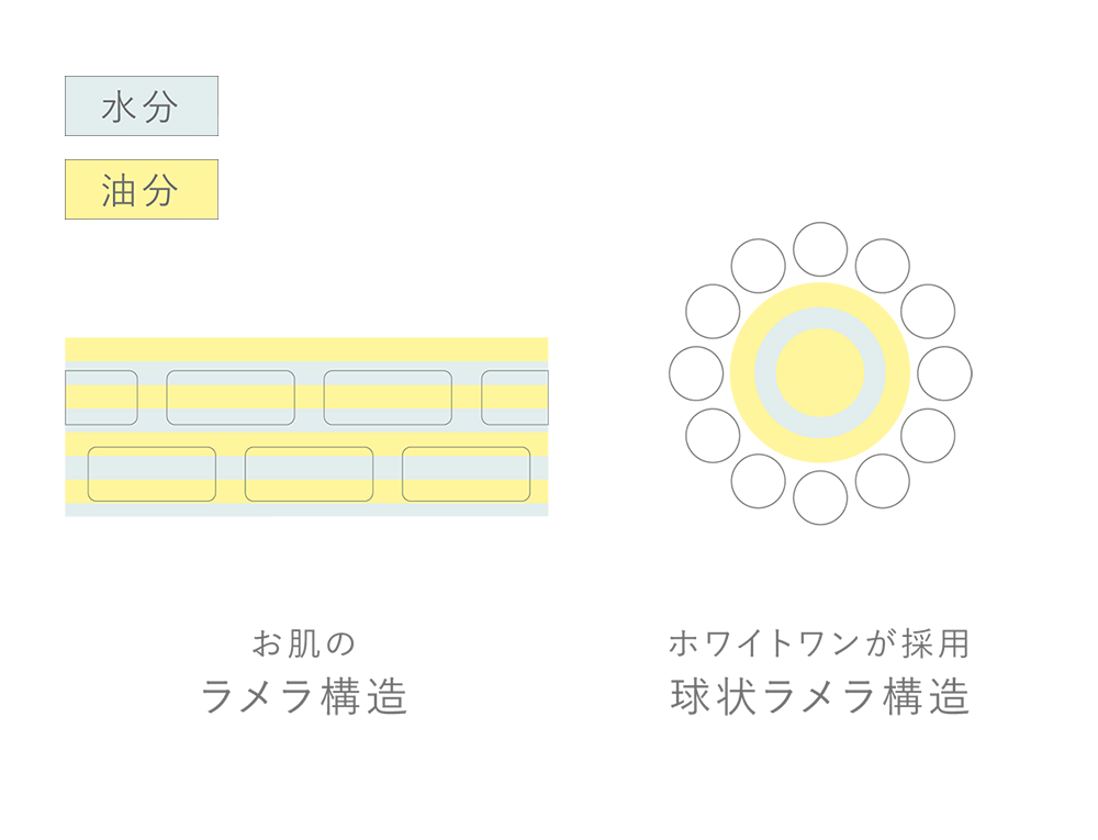 ラメラ構造